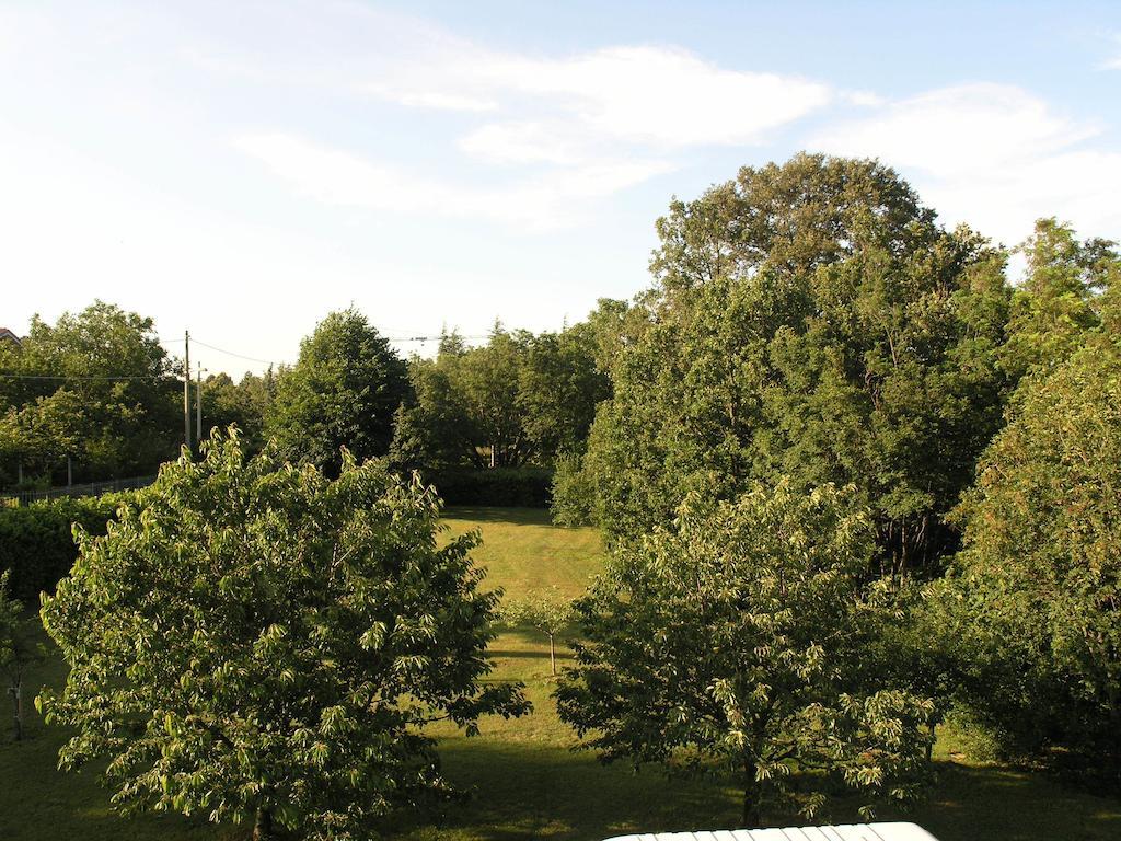 Stirenca B&B Триест Экстерьер фото