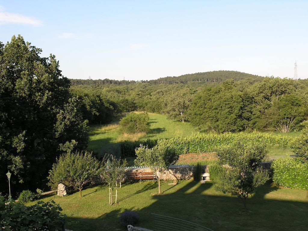 Stirenca B&B Триест Экстерьер фото