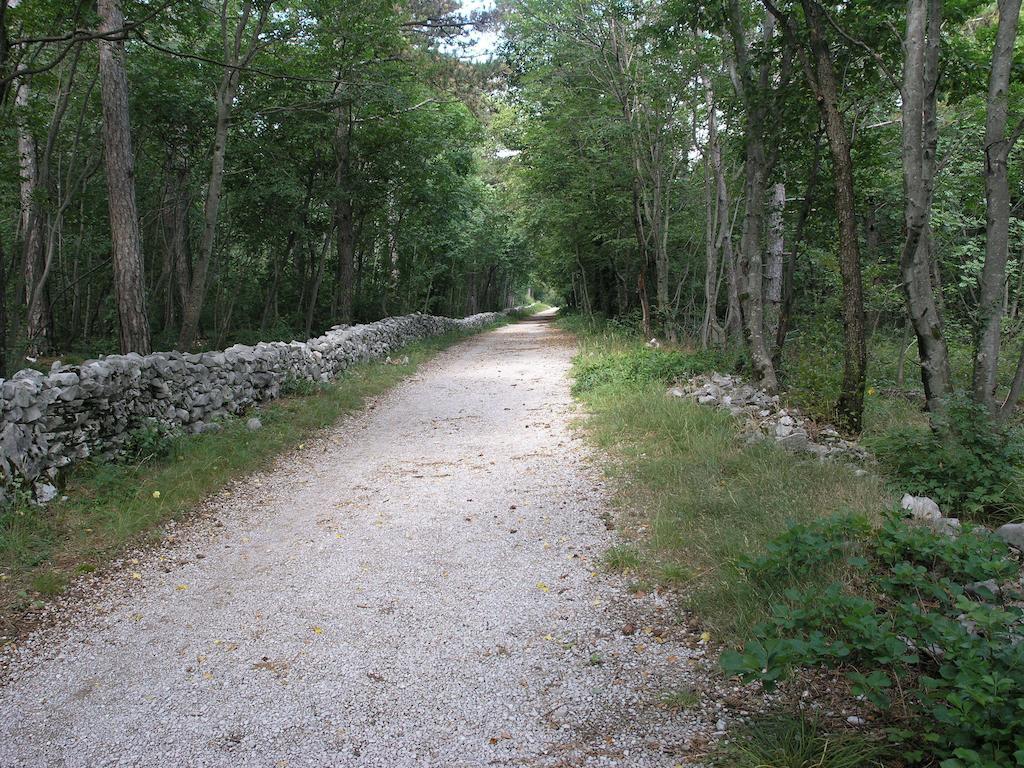 Stirenca B&B Триест Экстерьер фото